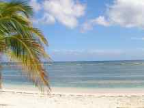 Cayman Brac Reef
