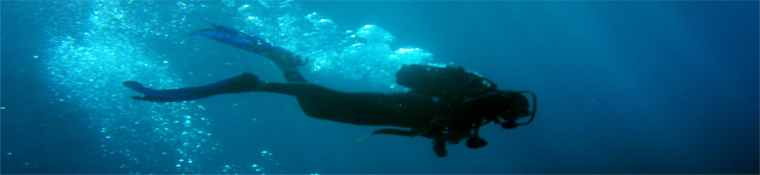 Scuba Diver