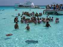 Sting Ray City Grand Cayman